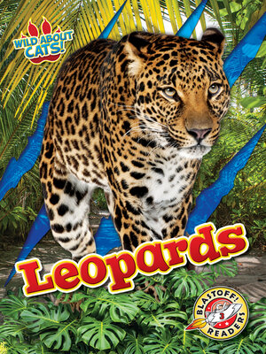 cover image of Leopards